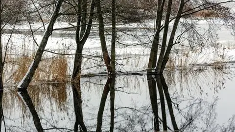 Mieszkańcy: "Będziemy pływać!" Hydrolog uspokaja: nie jest tak źle