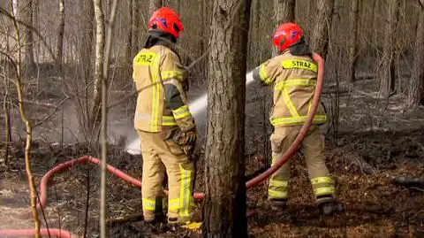 Ponad sześć tysięcy kwietniowych pożarów traw. W jednym z nich zginęła kobieta