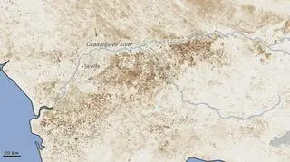 Skutki suszy widać nawet z kosmosu