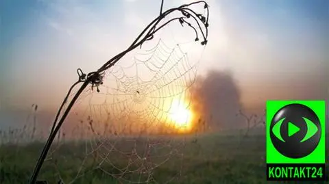 Idą bardzo chłodne noce i ciepłe dni