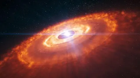 Hi Tauri