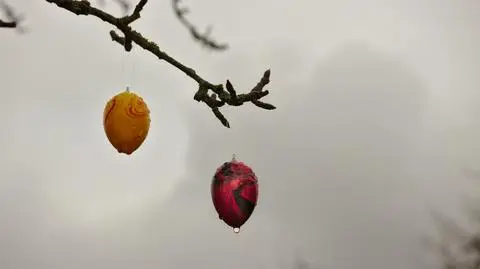 Wystąpią opady deszczu