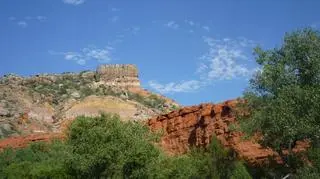 Tereny zielone w Teksasie płoną