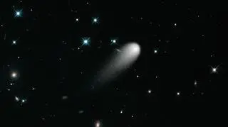 Kometa ISON w obiektywie Hubble'a (NASA)