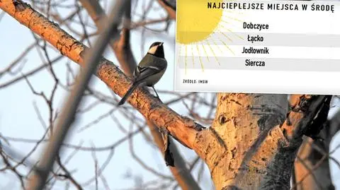 Środa była ciepła