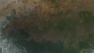 Ogień trawi między innymi Kamerun