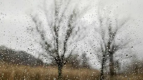 Pogoda na dziś: pochmurno z opadami, lokalnie 8 stopni Celsjusza 