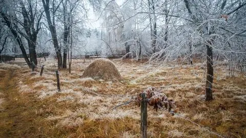 Pochmurna aura w wielu miejscach