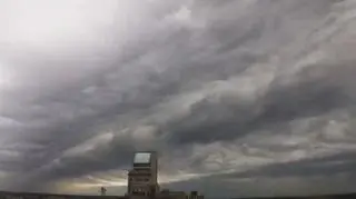 Undulatus asperatus potrafi wywołać trwogę