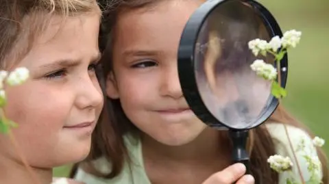 Dokuczliwych zarodników nie zobaczymy gołym okiem