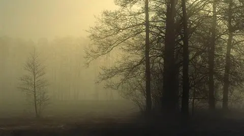 W kraju nadal mglisto. Widzialność ograniczona od 100 do 400 metrów