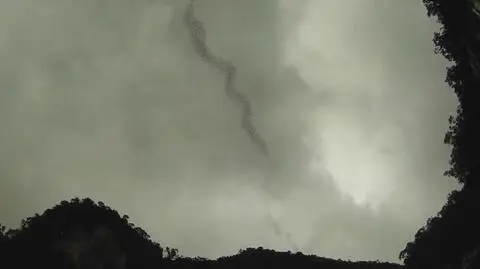 Formacja nietoperzy jak smuga dymu