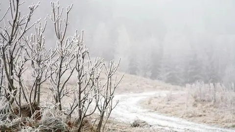 Lokalnie spadnie deszcz ze śniegiem