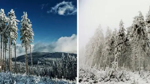 Zima oczami internauty ~Szymona