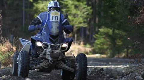 Quady najeżdżają lasy