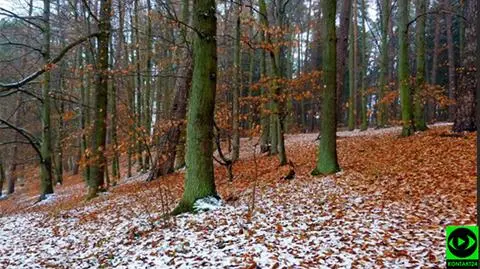 Wschodnie regiony pod śniegiem