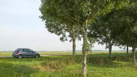 Pogoda na ogół będzie sprzyjać zmotoryzowanym