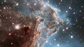 Obraz Głowy Małpy wykonany w lutym 2014 r. przez teleskop Hubble'a