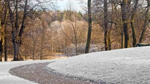 Niebawem spadnie śnieg