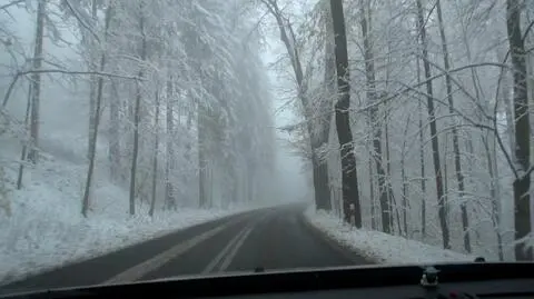 Plucha lub warstwa śniegu. Kierowcy powinni mieć się na baczności