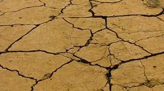 Odrodzenie Ziemi trwało 10 mln lat