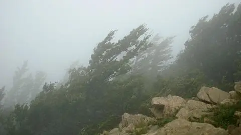 Wiatr miejscami będzie silny