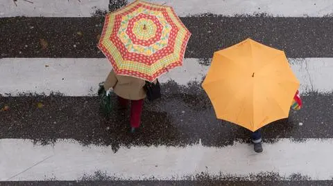 Zarówno w nocy, jak i w ciągu dnia będzie padał deszcz, a miejscami - deszcz ze śniegiem