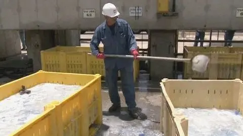 Meduzy atakują elektrownię