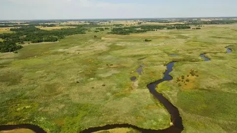 Wysuszona Narew. "Tak niskiego poziomu wody nie pamiętamy"