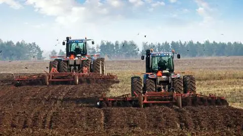 Sorgo zamiast ziemniaka. Globalne ocieplenie wprowadzi na polskie pola nowe gatunki