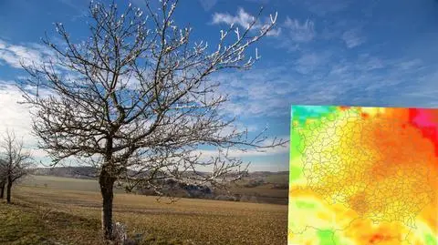 Czekają nas coraz cieplejsze zimy