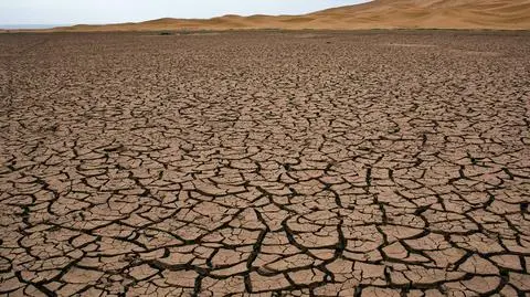 Inwestorzy chcą dbać o Ziemię. Zmiana klimatu zwiększa ryzyko