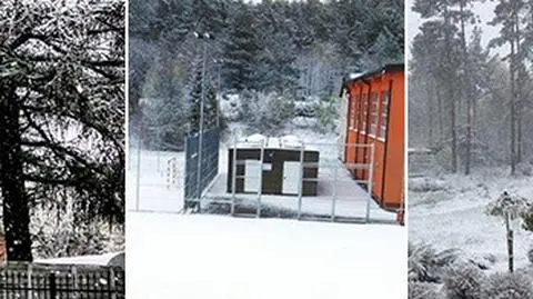 "Zima w maju to już lekkie przegięcie". Sypnęło śniegiem