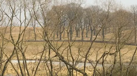 Front obniży temperatury. Na południu popada