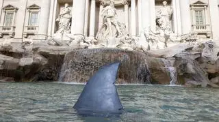 Rekin w Fontannie di Trevi
