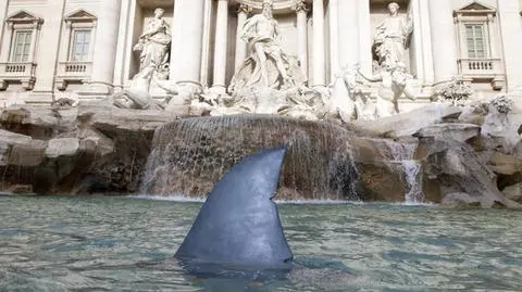 Rekiny wpłynęły do Fontanny di Trevi