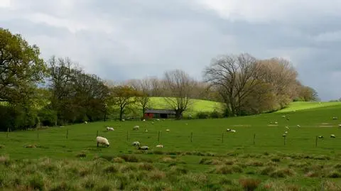 Lato, zdaniem amerykańskich synoptyków, może okazać się dość chłodne i deszczowe