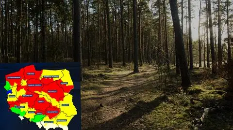 Duże zagrożenie pożarowe w wielu regionach kraju. To skutek upałów