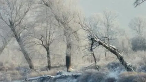 W czwartek zacznie robić się zimowo