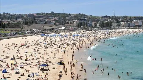 Prawie 50 stopni w Australii. Uciekali przed piekielnym upałem, nie żyją