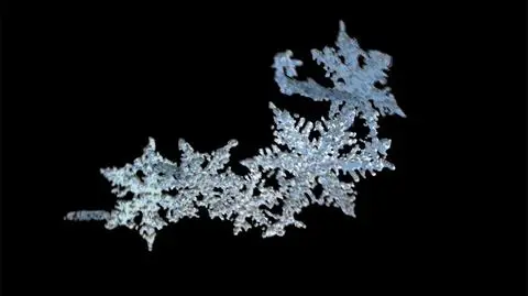 Trójwymiarowy model płatka śniegu