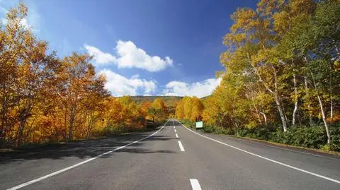 Pogoda będzie dziś sprzyjać kierowcom