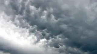 Mammatus nad Belgią