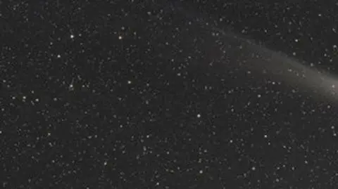 Lovejoy widziana przez internautę