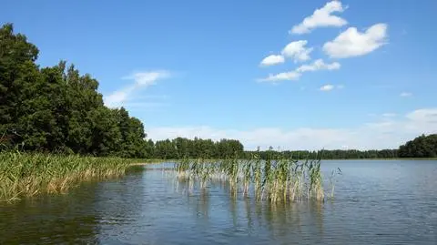Czwartek będzie pogodny, ale niezbyt gorący