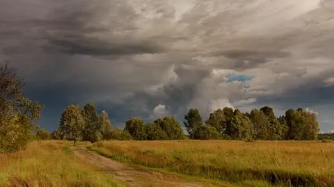 Pogoda na 5 dni: upały, ale i koniec łagodnej aury
