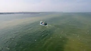 Sinice w Bałtyku uniemożliwiają kąpiele (zdjęcie archiwalne)