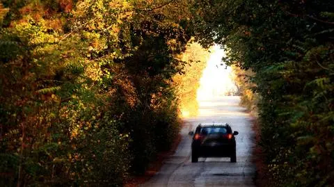 Krajowe drogi zaleje słońce