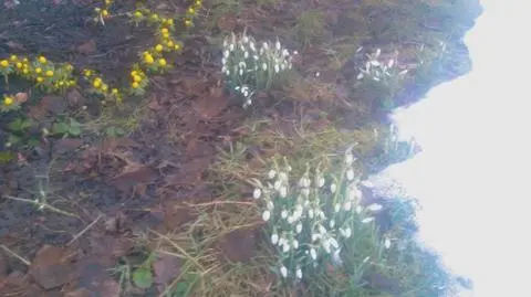Aktualnie czytasz: Jak się termometr nagrzeje...