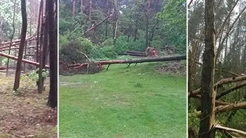 "Połamane drzewa, uszkodzone dachy". Relacje po załamaniu pogody